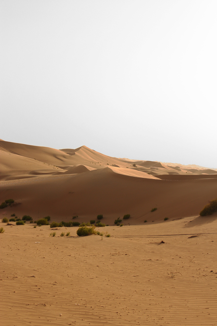 justmyself-travelblog-dune-bashing-jeep-safari-abu-dhabi-bakadi-dreams-wüsten-tour-anbieter-3